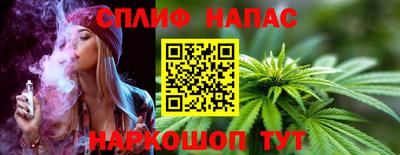 Альфа ПВП Камышлов