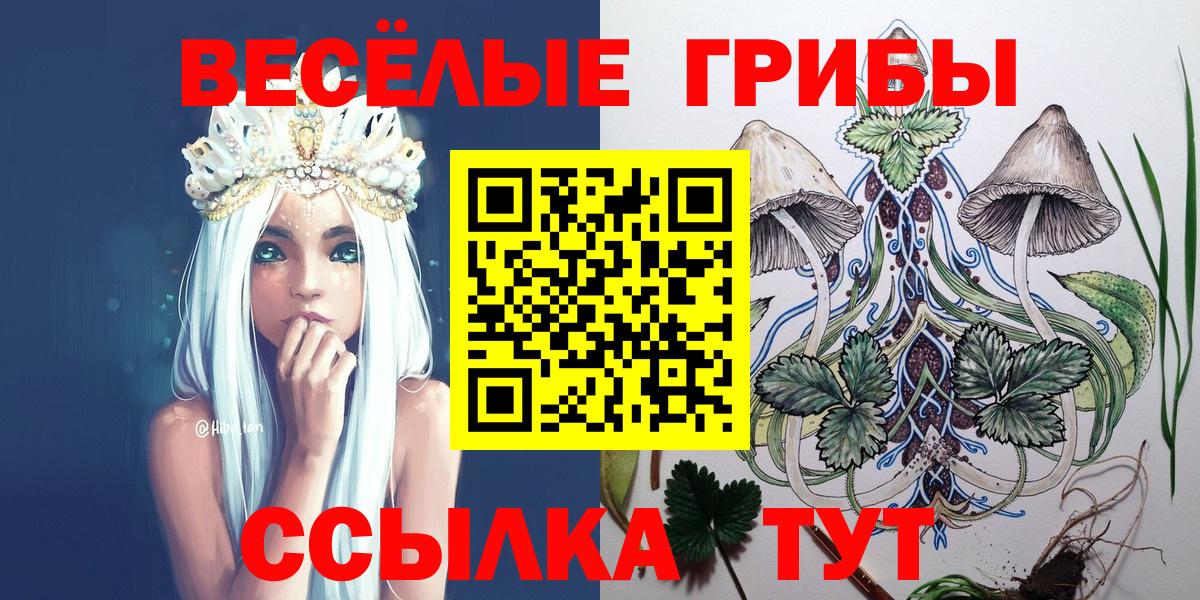 Псилоцибиновые грибы ЛСД Кропоткин
