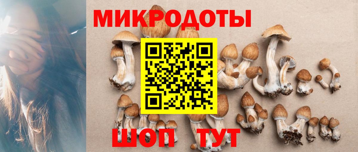 Галлюциногенные грибы мицелий  Псилоцибиновые грибы мухоморы  Вход с VPN  Кропоткин 